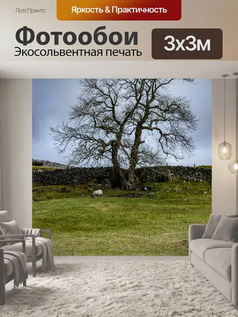 Фотообои Только дерево