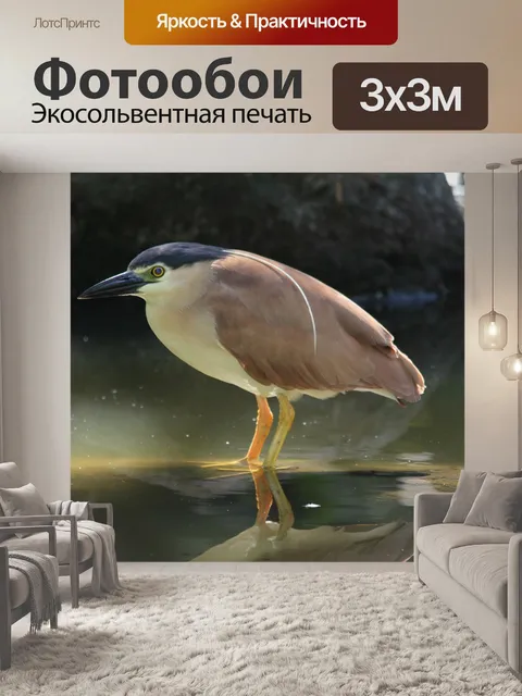 Фотообои Птица