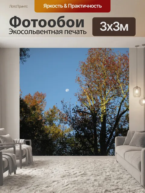 Фотообои Небо