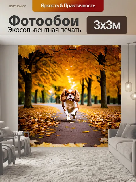 Фотообои веселая собака, кавалер кинг чарльз спаниель, бежит по осеннему парку, покрытому золотыми листьями