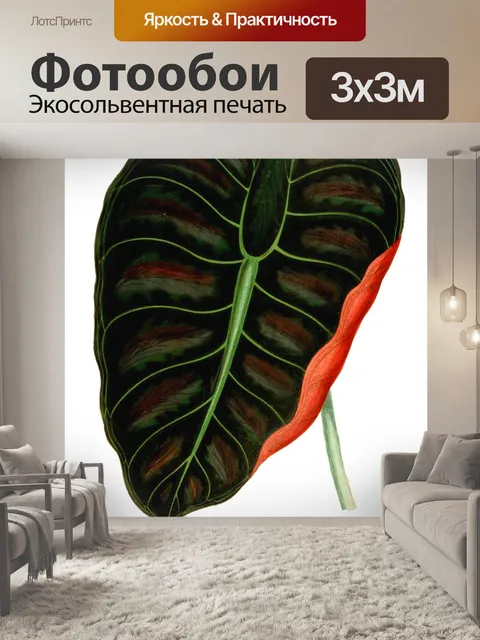 Фотообои Листва лист растение прозрачный