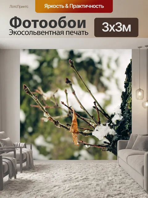 Фотообои Дерево