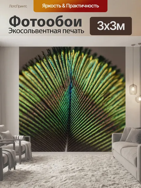 Фотообои Перо