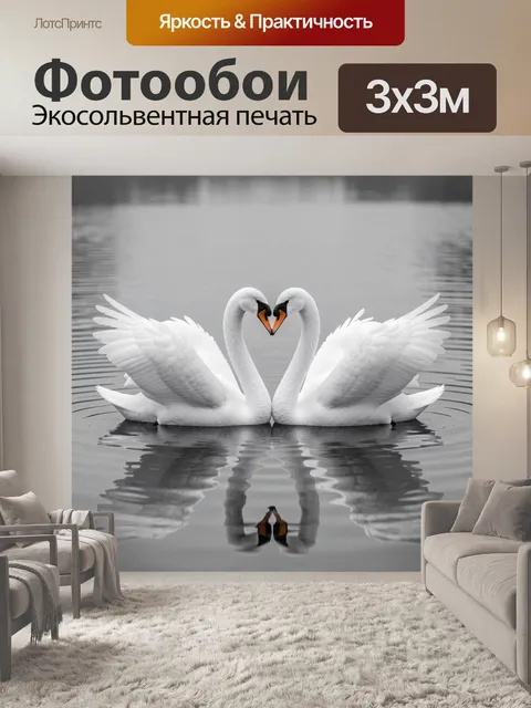 Фотообои Пара лебедей на воде