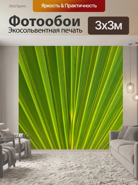 Фотообои Фон пальмового листа