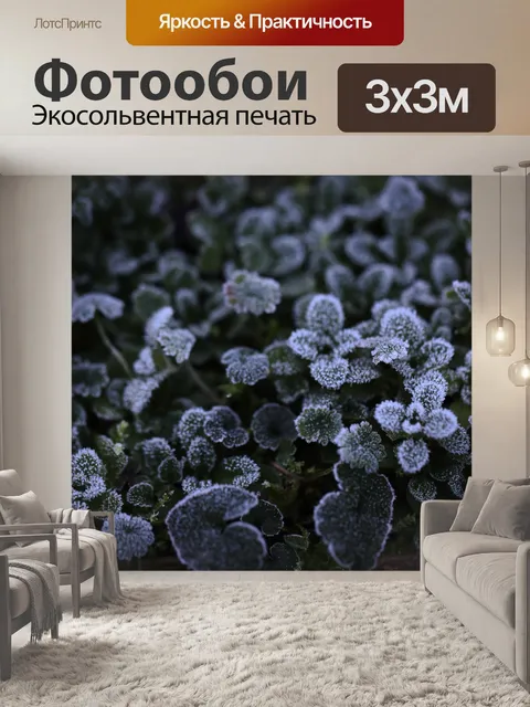 Фотообои Природа