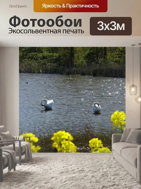 Фотообои Лебеди