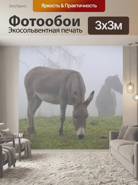Фотообои Осел