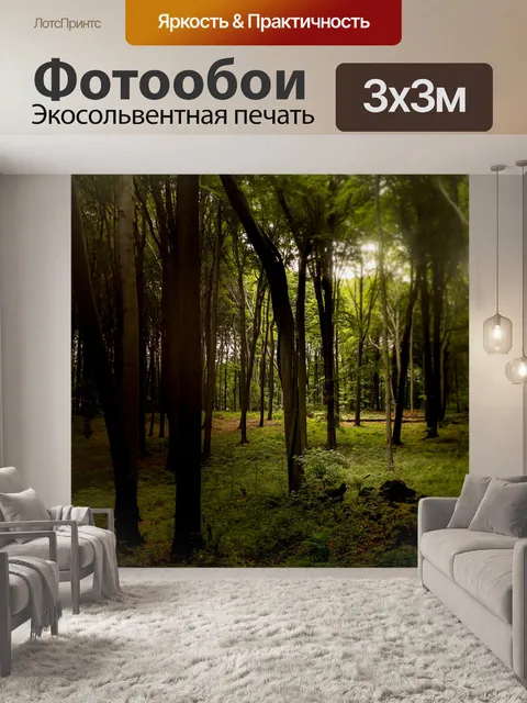Фотообои Лес