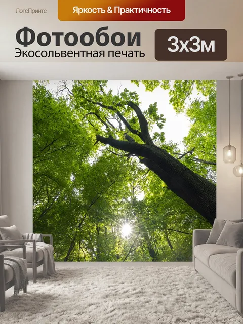 Фотообои Лес
