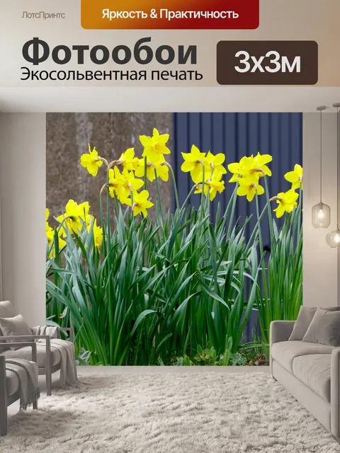Фотообои Весна нарцисс Цветы Row