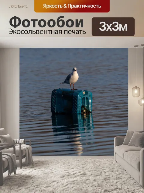 Фотообои Чайка