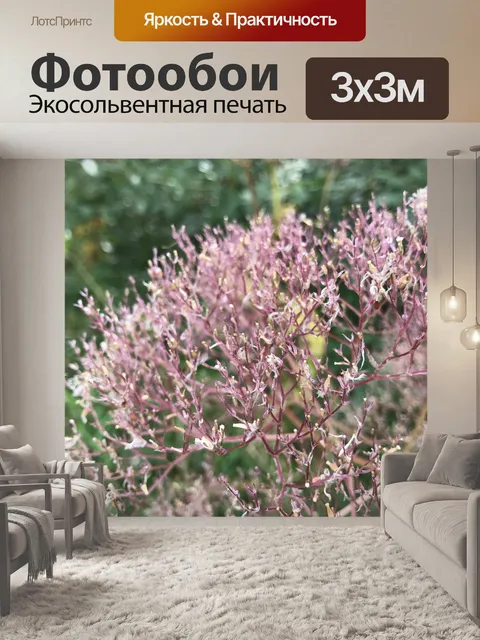 Фотообои Цветок