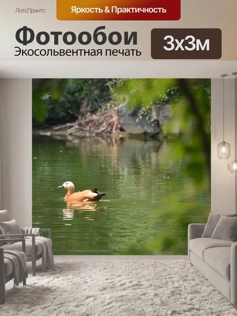 Фотообои Водоплавающие птицы