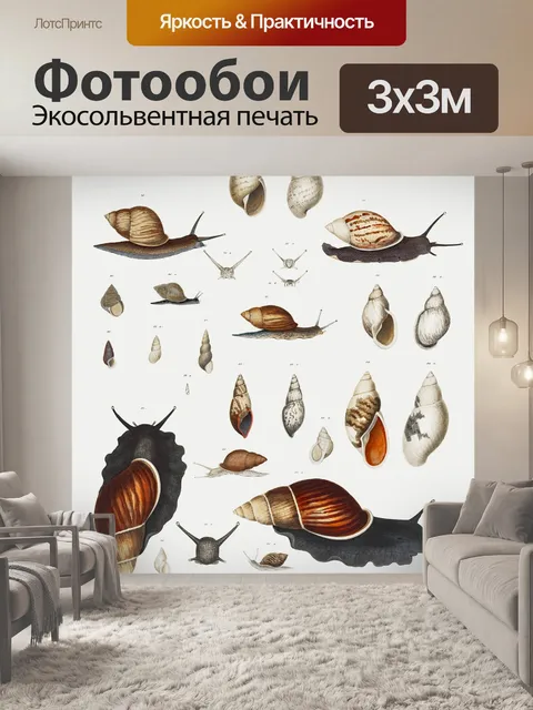 Фотообои Винтажная картина ракушки улитки