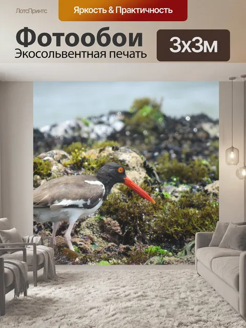 Фотообои Птица