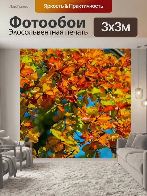 Фотообои Ветви