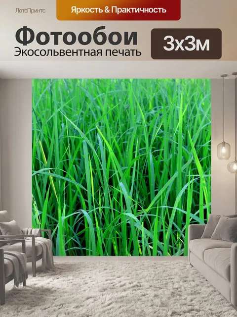 Фотообои Зеленое рисовое поле