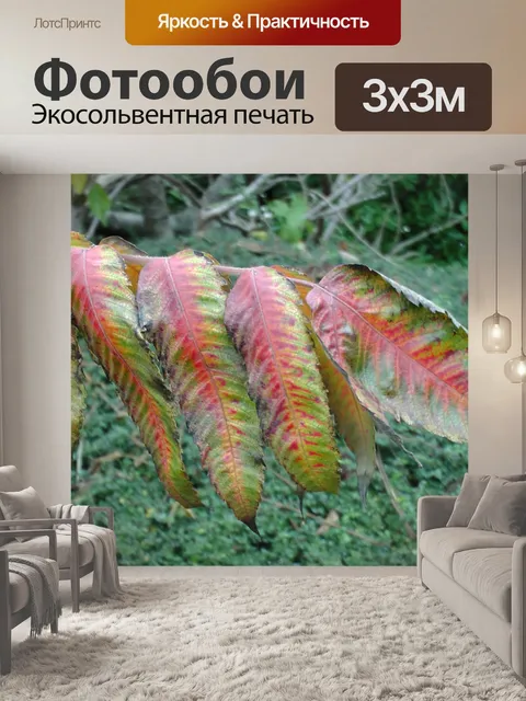 Фотообои Осенние листья