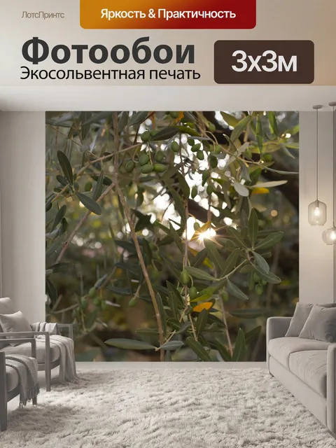 Фотообои Оливковый