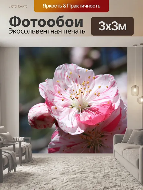 Фотообои Цветы