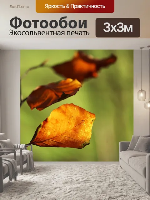 Фотообои Листья