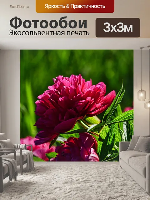 Фотообои Природа