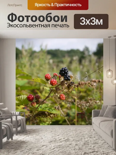 Фотообои Природа