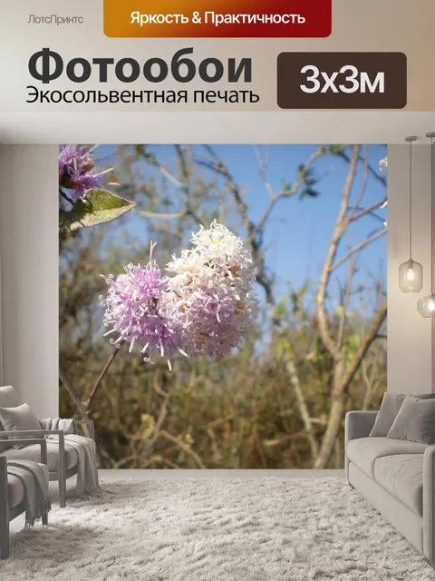 Фотообои Цветы