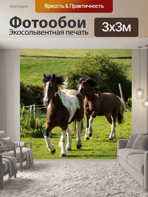 Фотообои лошадь