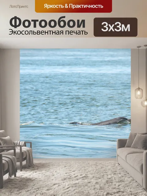 Фотообои Дельфин в дикий