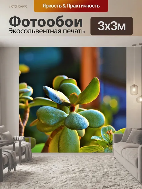 Фотообои Цветы