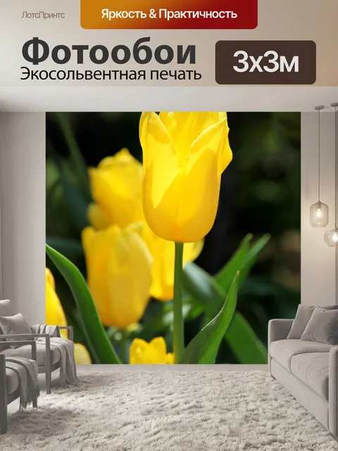 Фотообои Цветы