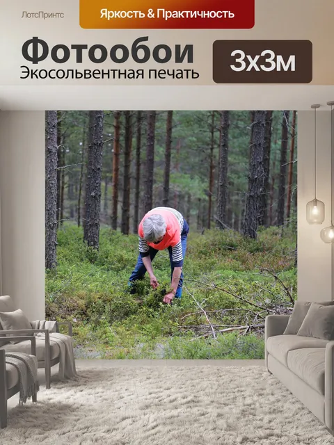 Фотообои Лес