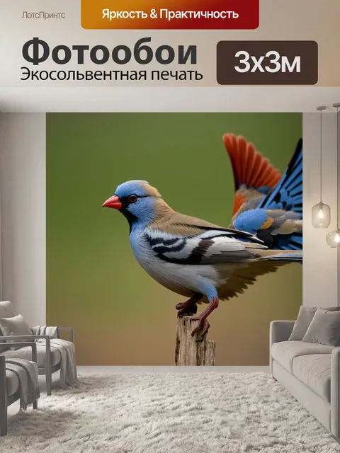 Фотообои птицы, которые раскрыли свои перья, выполненные в технике деталей с акцентом на текстуры и линии