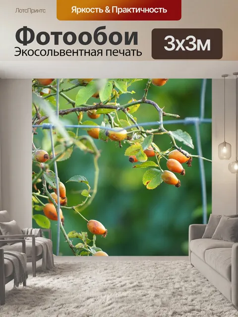 Фотообои Ягода