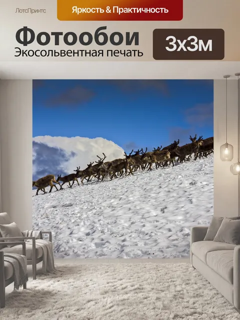 Фотообои Пейзаж