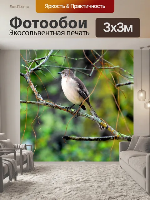 Фотообои Wildbird на дереве