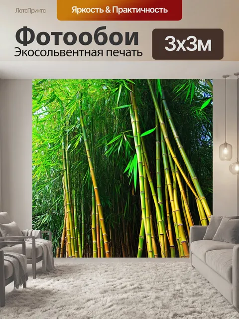 Фотообои бамбук в тропическом лесу