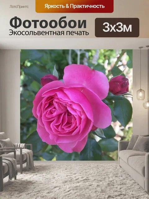 Фотообои Розы