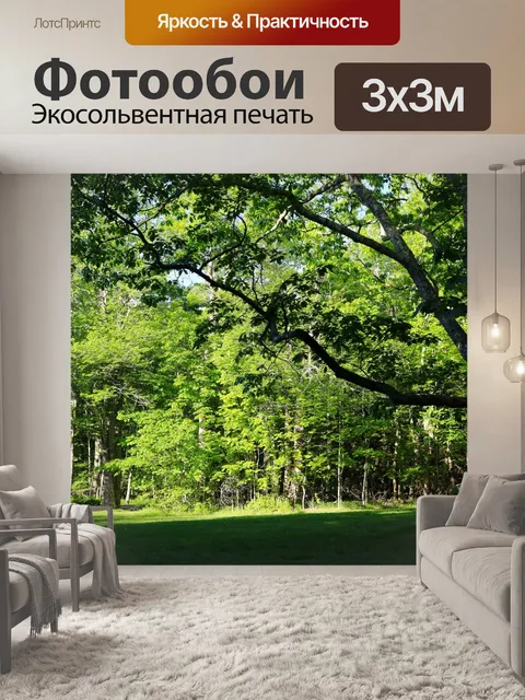 Фотообои тенистое дерево
