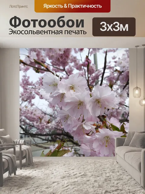 Фотообои Фон