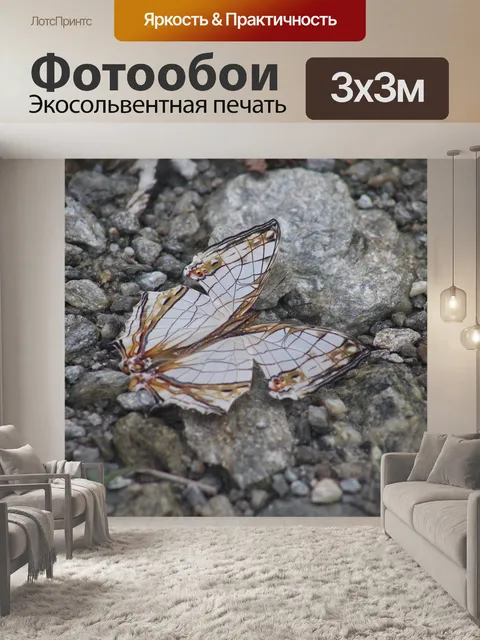 Фотообои Общая карта