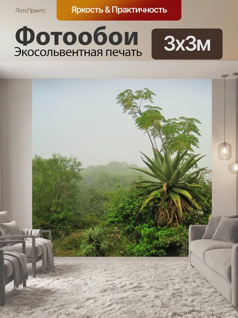 Фотообои алоэ в тумане
