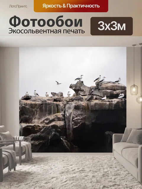 Фотообои Птицы