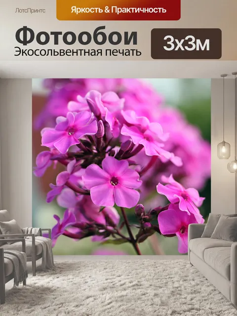 Фотообои Цветы