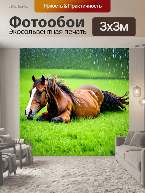Фотообои лошадь, катящаяся по траве под дождем