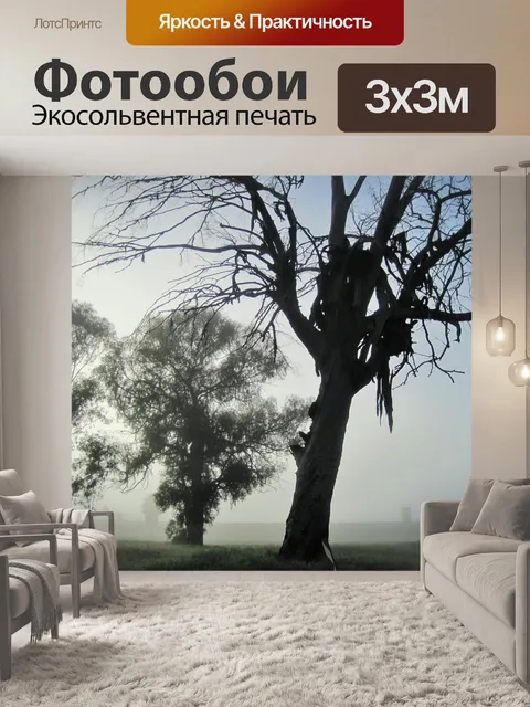 Фотообои жуткий утренний туман