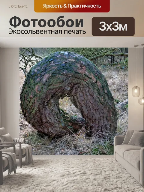Фотообои Дерево