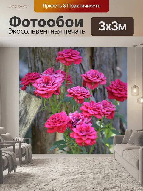 Фотообои Розы